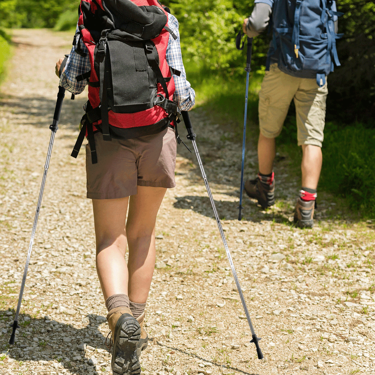 Aldi walking poles sale