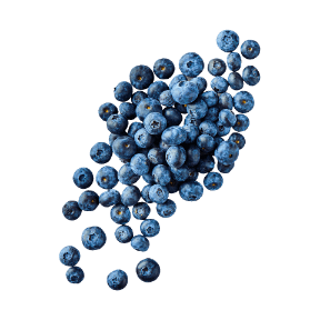 Borówki amerykańskie