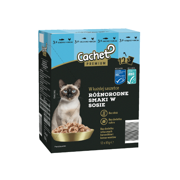 CACHET PREMIUM Karma mokra dla kota