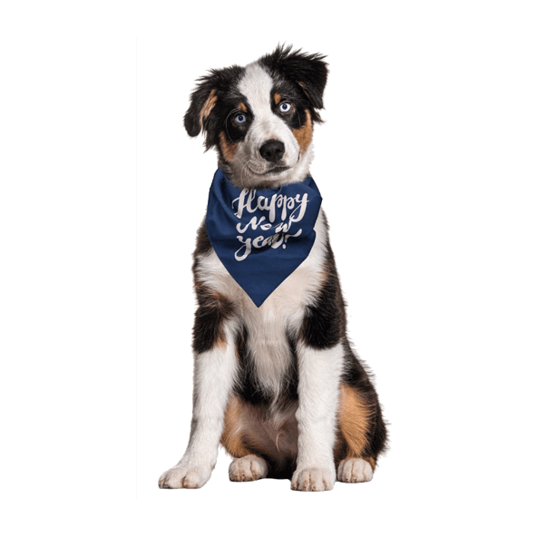 Chusta/Muszka dla psa/kota