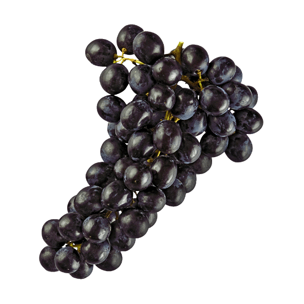 Winogrona ciemne
