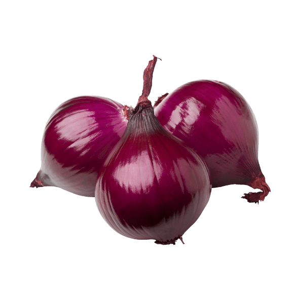 Cebula czerwona