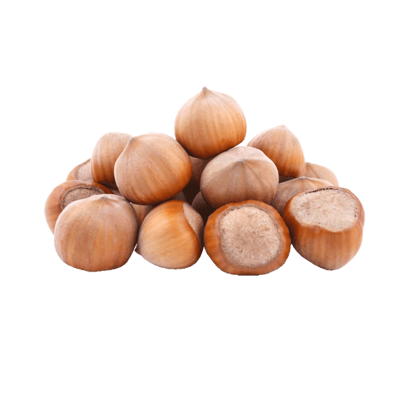 Orzechy laskowe w łupinie