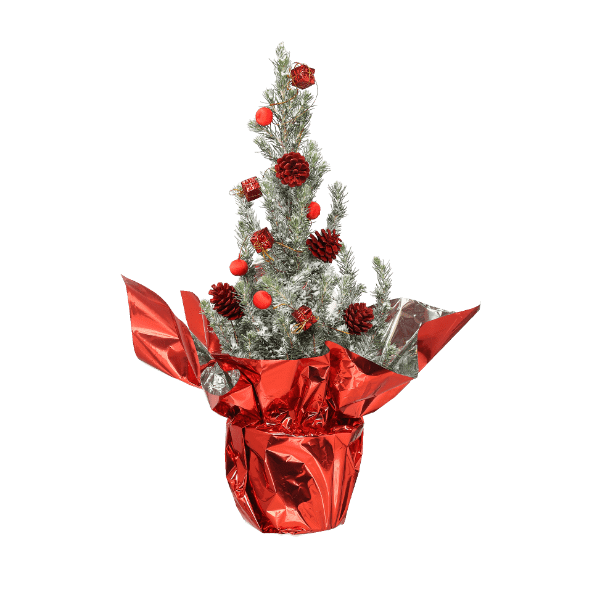 GARDENLINE Świąteczny świerk