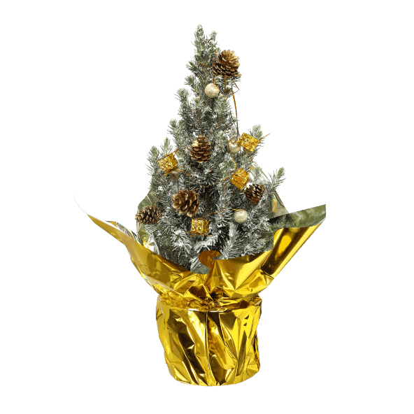 GARDENLINE Świąteczny świerk