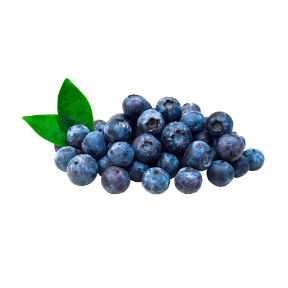 Borówki amerykańskie