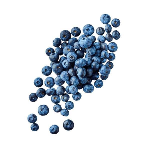 Borówki amerykańskie