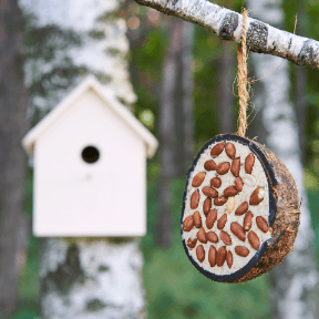 GARDEN FEELINGS Karma dla dzikich ptaków