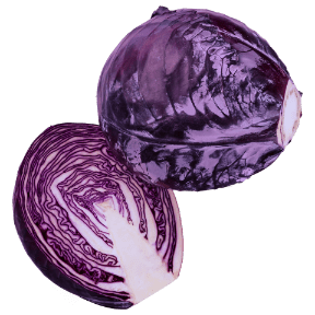 Kapusta czerwona
