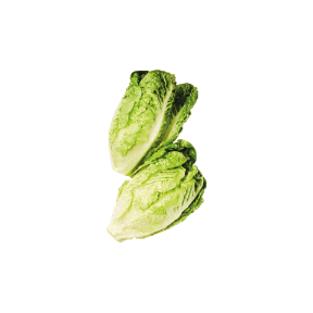 Sałata rzymska mini