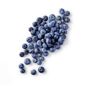 Borówki amerykańskie