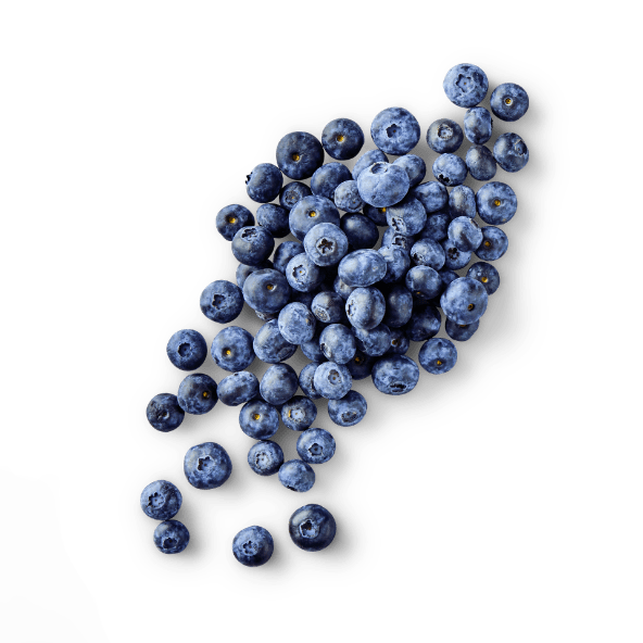 Borówki amerykańskie