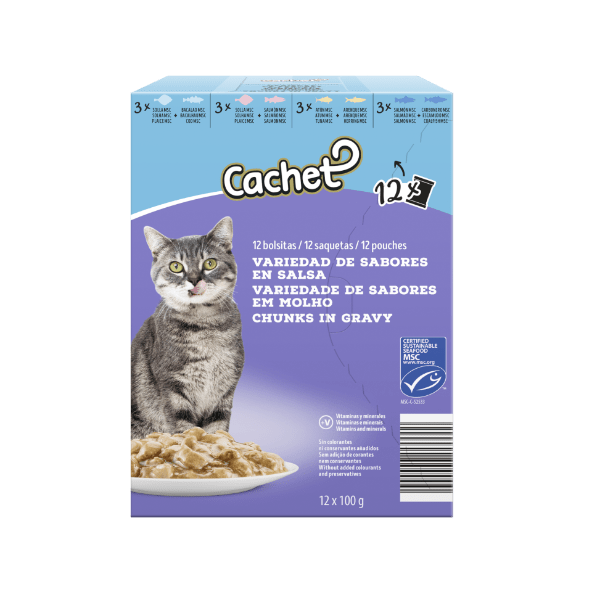 CACHET Karma mokra dla kota