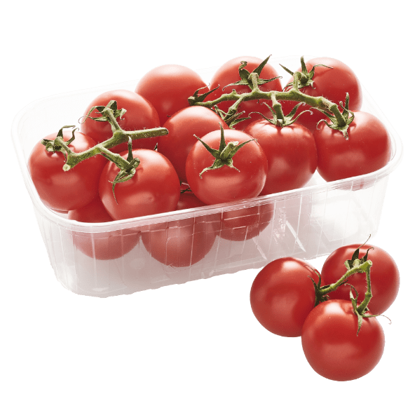 Pomidory cherry na gałązce