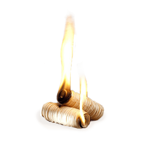 BBQ Podpałka do kominka