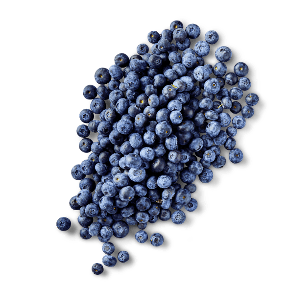 Borówki amerykańskie