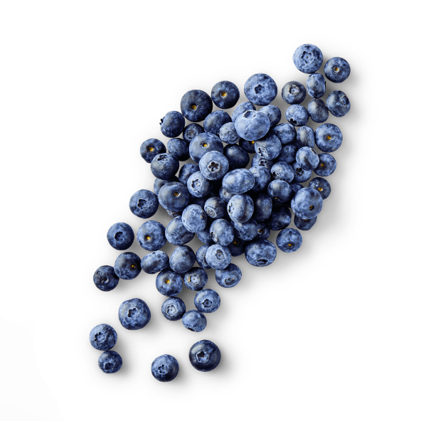 Borówki amerykańskie