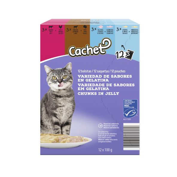 CACHET Karma mokra dla kota