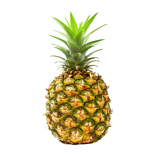 Ananas