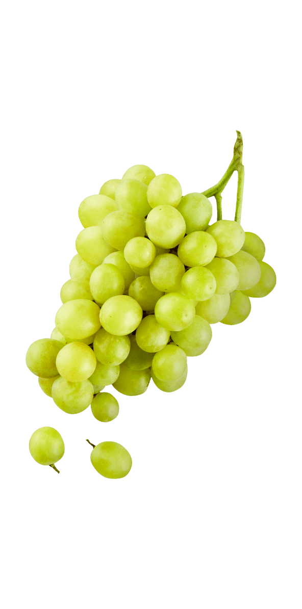 Winogrona zielone bezpestkowe