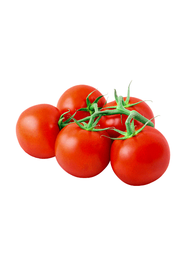 Pomidory gałązka