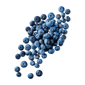 Borówki amerykańskie