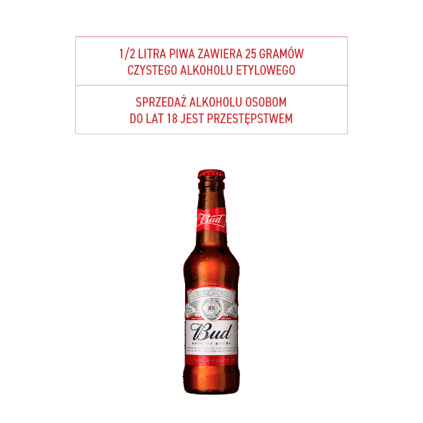 Piwo Bud
