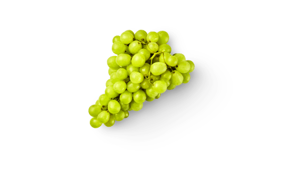 Winogrona zielone bezpestkowe