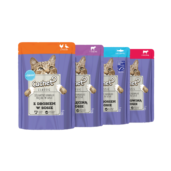 CACHET Karma mokra dla kota