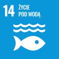 SDG 08