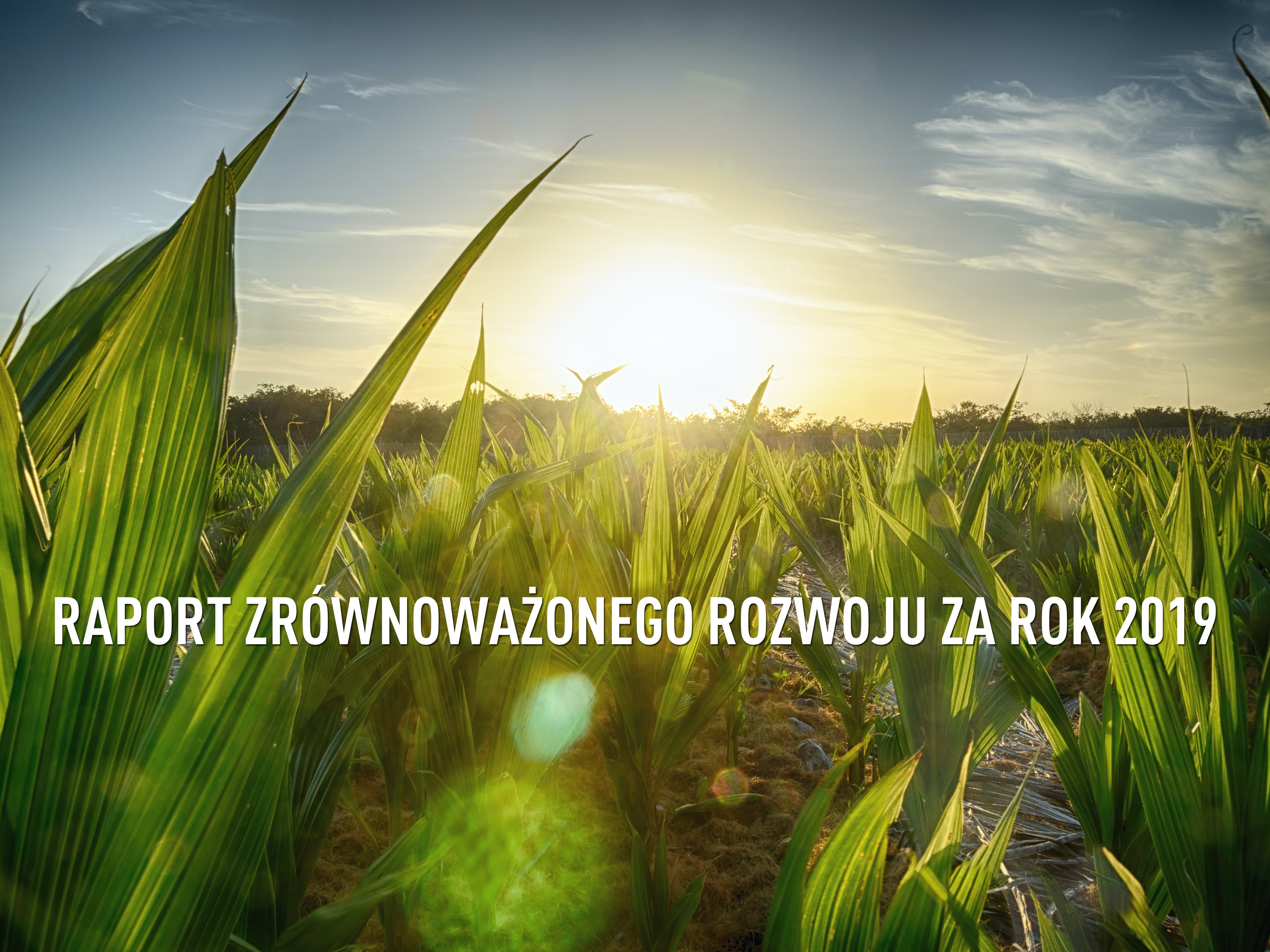 Raport zrównoważonego rozwoju za rok 2019