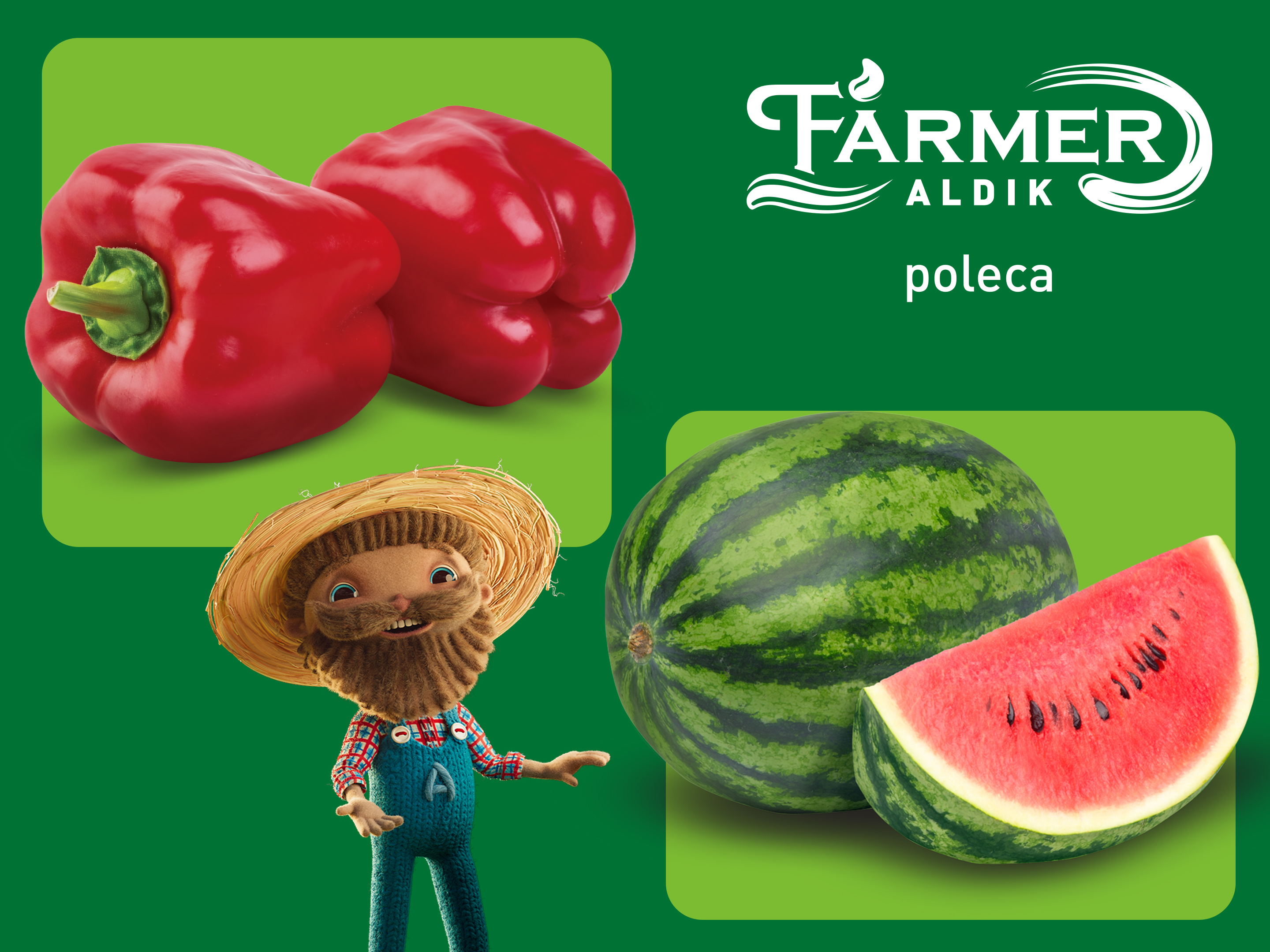 Farmer ALDIK poleca