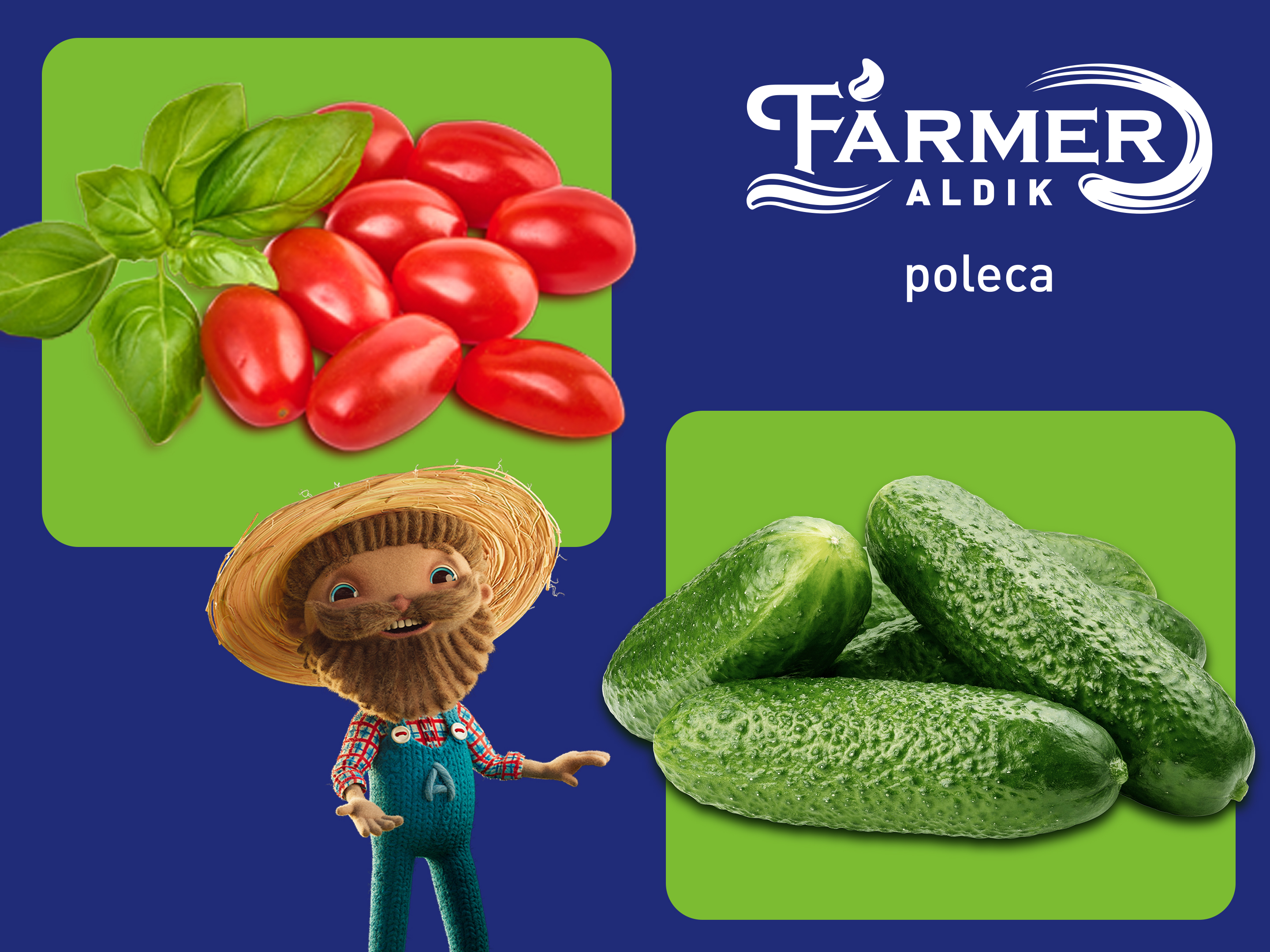 Farmer ALDIK poleca