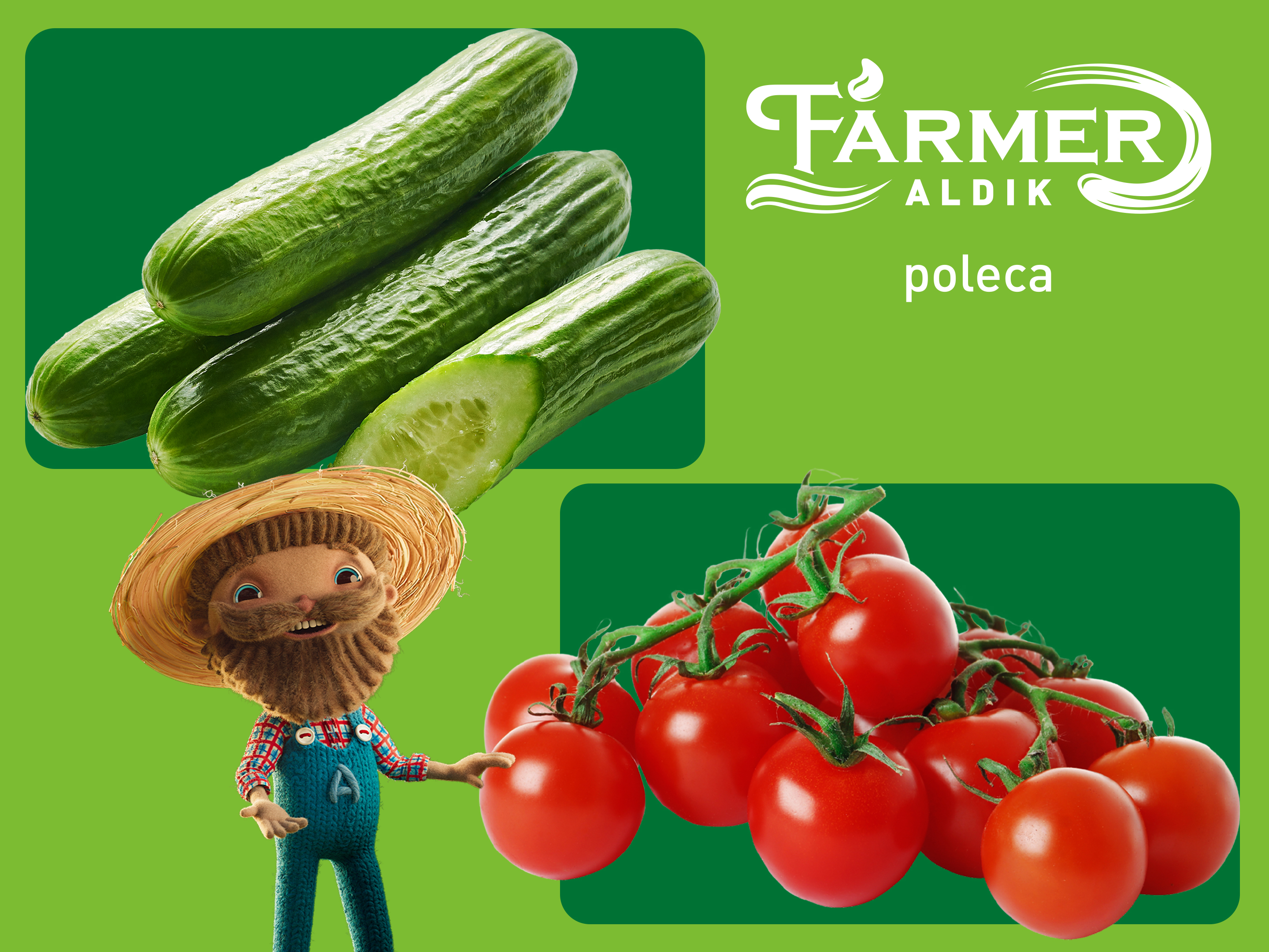 Farmer ALDIK poleca
