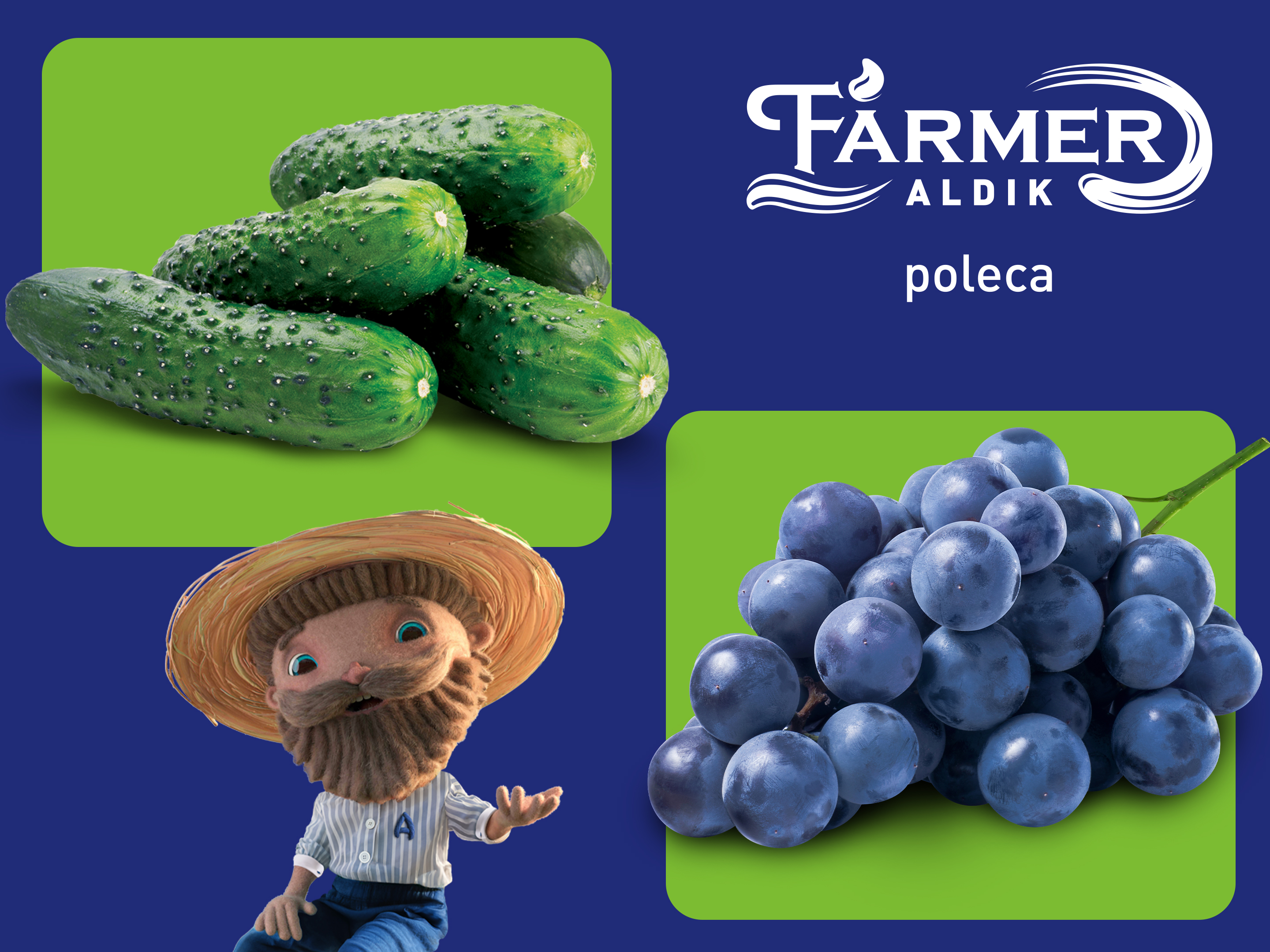 Farmer ALDIK poleca