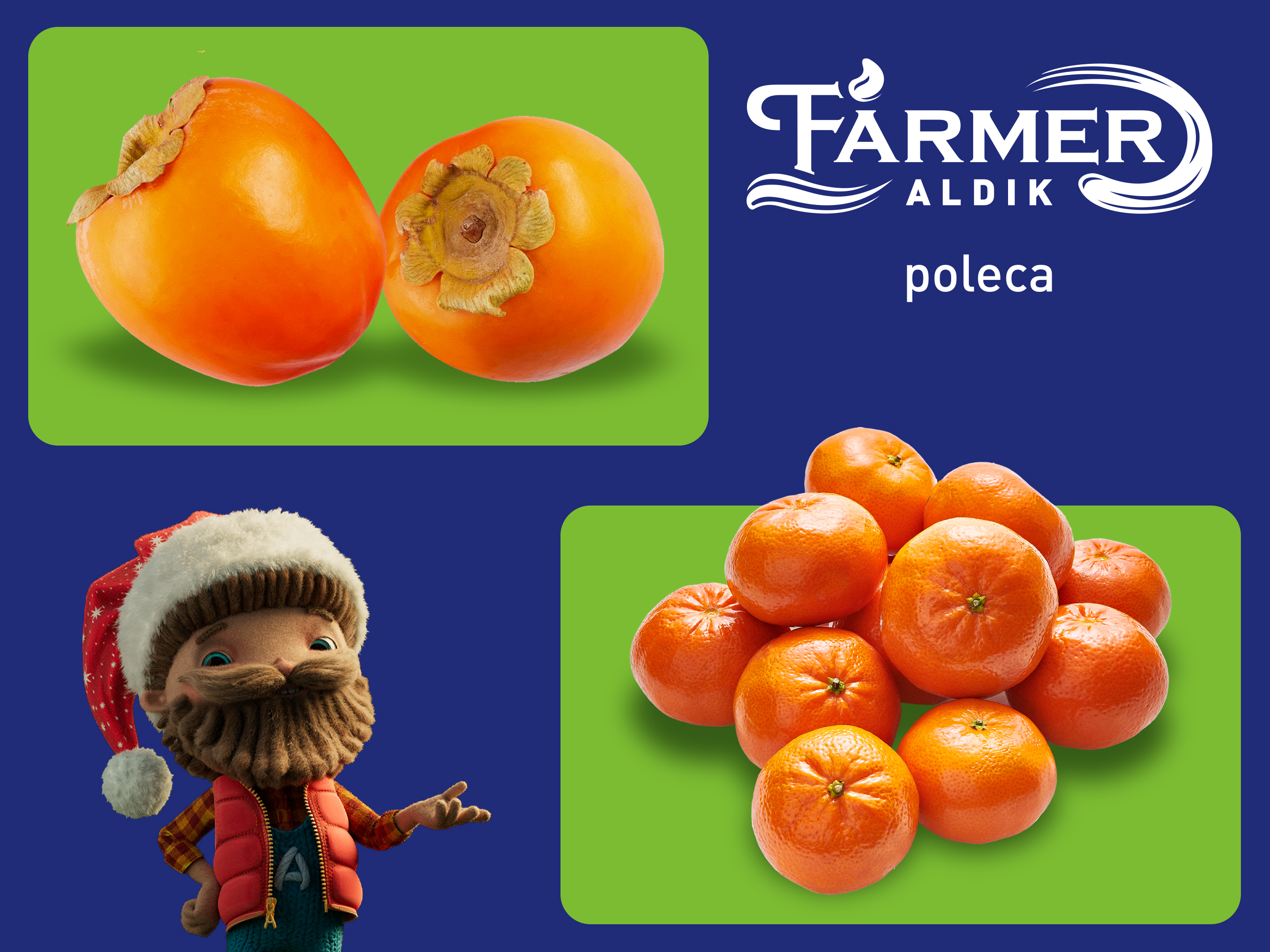 Farmer ALDIK poleca