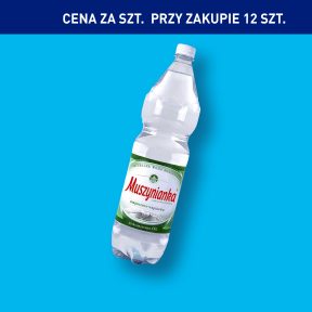 MUSZYNIANKA Woda mineralna wysokozmineralizowana
