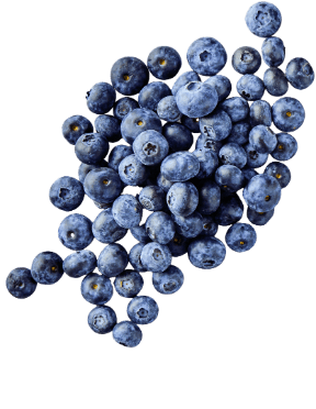 Borówki amerykańskie