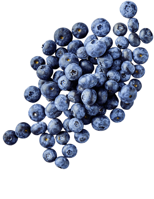 Borówki amerykańskie