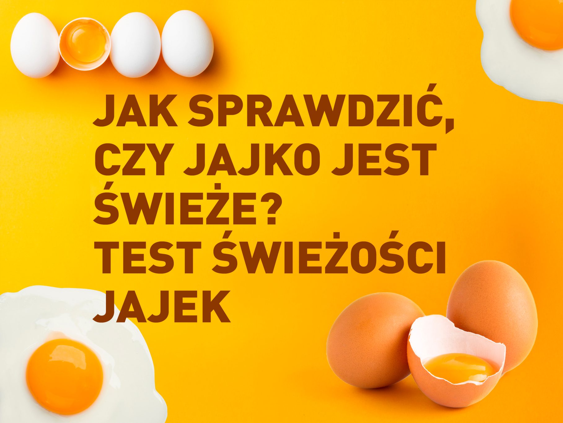 Jak sprawdzić, czy jajko jest świeże? Test świeżości jajek ALDI